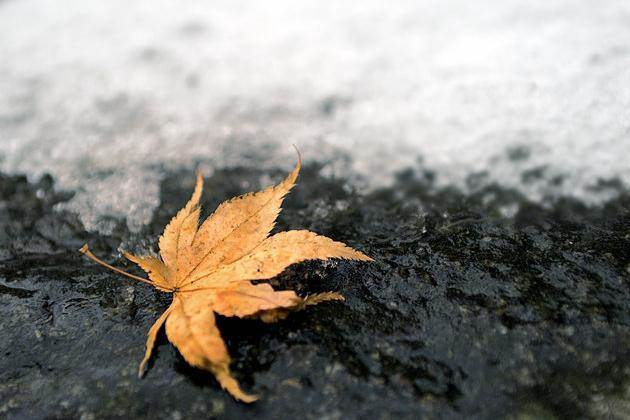 玄學提醒：永遠不要在熟人面前，說以下這兩種話，切記切記！