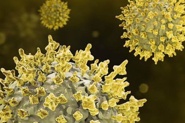 快訊/立百病毒超毒！印度爆「醫護集體感染」疾管署：勿吃2食物