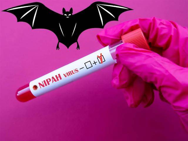 快訊/立百病毒超毒！印度爆「醫護集體感染」疾管署：勿吃2食物