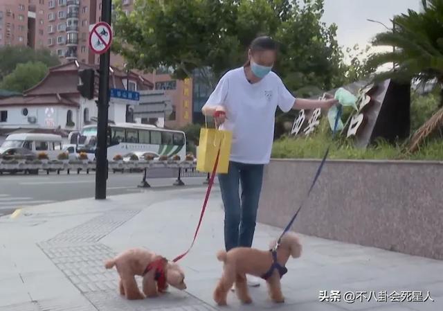 58歲劉嘉玲穿透視裝秀性感身材，稱梁朝偉不管，不生孩子養狗作伴