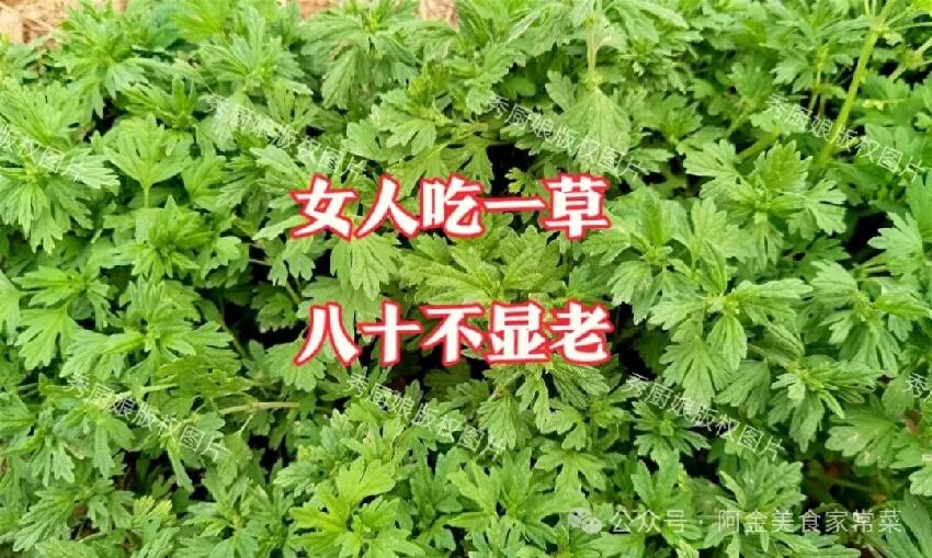 「女人吃一草，八十不顯老」，立夏后正當季，別不懂吃！