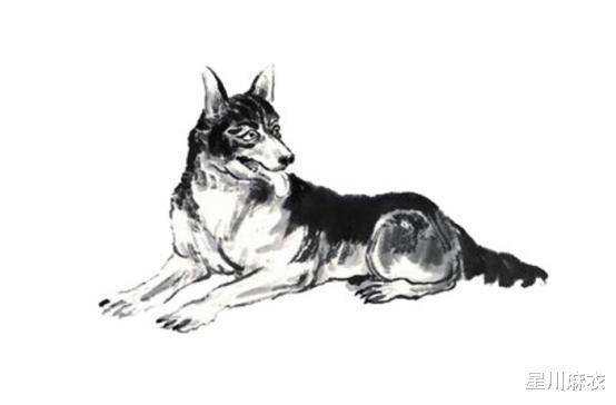 窮一時富一生，下半年成功轉運，財路更寬廣，身價高漲的「3生肖」喜上眉梢