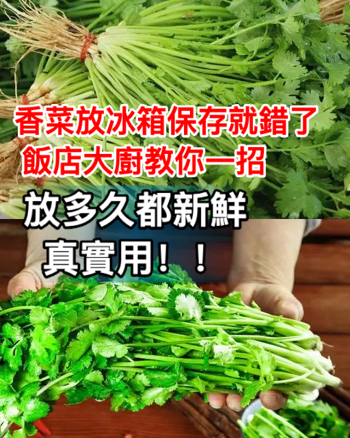 香菜放冰箱保存就錯了，飯店大廚教你一招，放多久都新鮮，真實用！