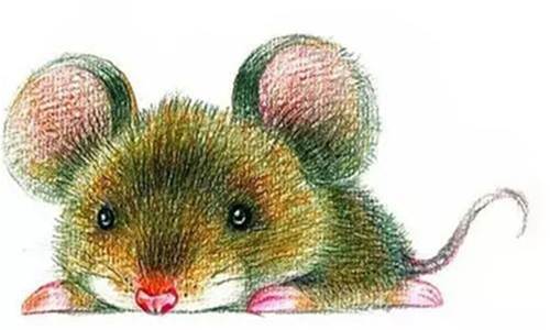 算命師說：4月29.30號大獎上門，橫財遍地的生肖！！