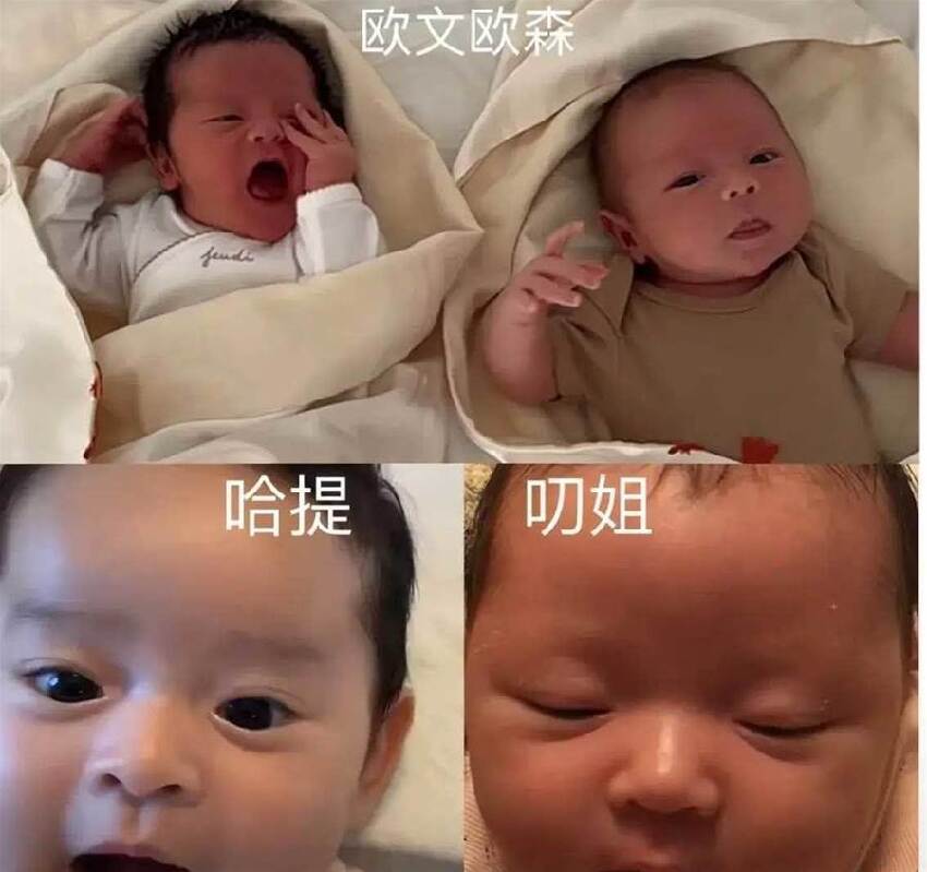 葉海洋生娃后續！不坐月子，抱倆兒美國曬太陽，身材氣色恢復超快，網友：打扮的好精緻！