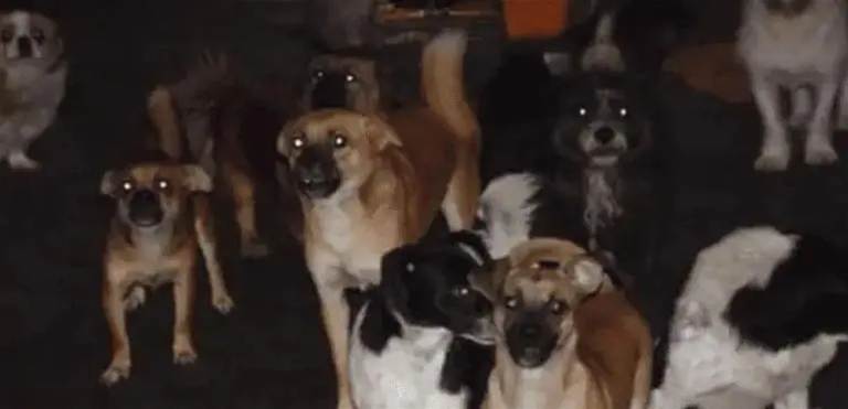 很多人都不知道， 天要收人之前， 必定會有這5種徵兆，切記一切都是天