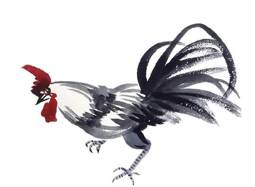 十雞九順！陽歷這個月出生的雞人，先苦后甜，註定享受輝煌人生！