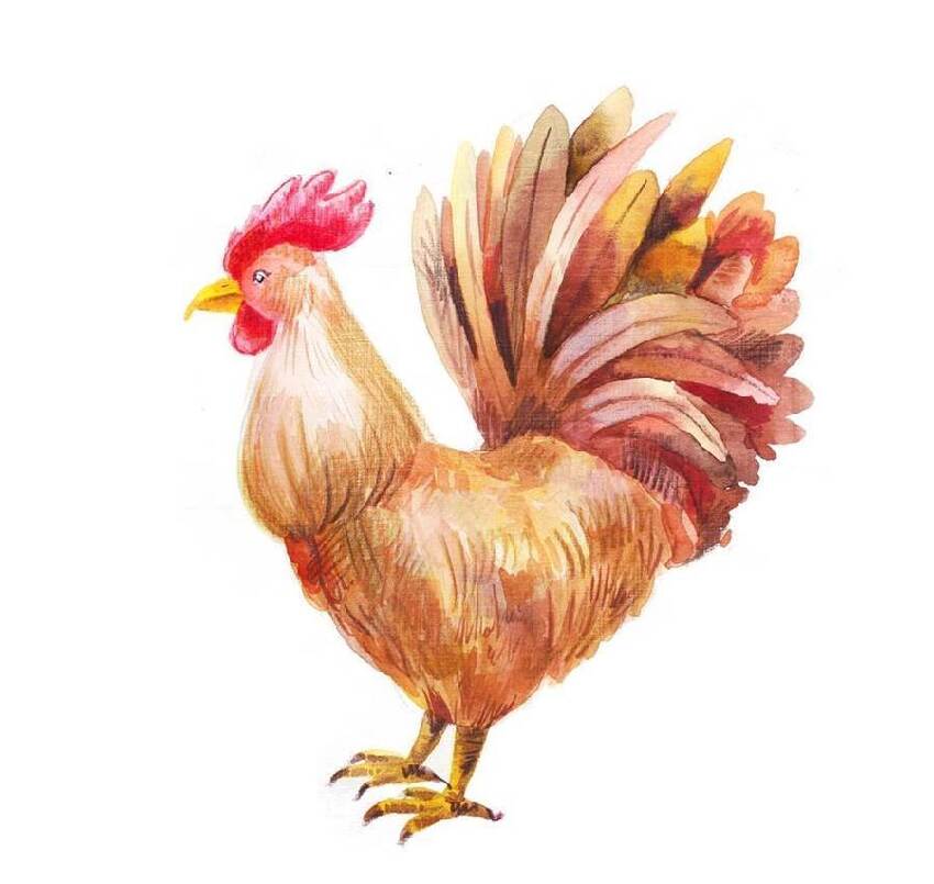 十雞九順！陽歷這個月出生的雞人，先苦后甜，註定享受輝煌人生！