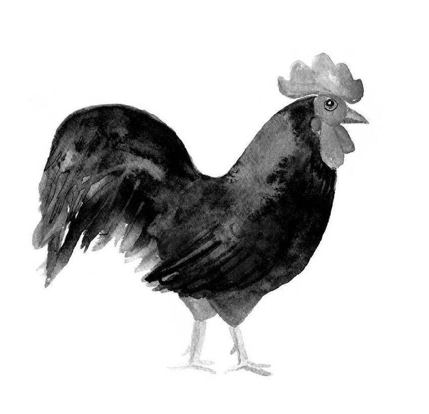 十雞九順！陽歷這個月出生的雞人，先苦后甜，註定享受輝煌人生！