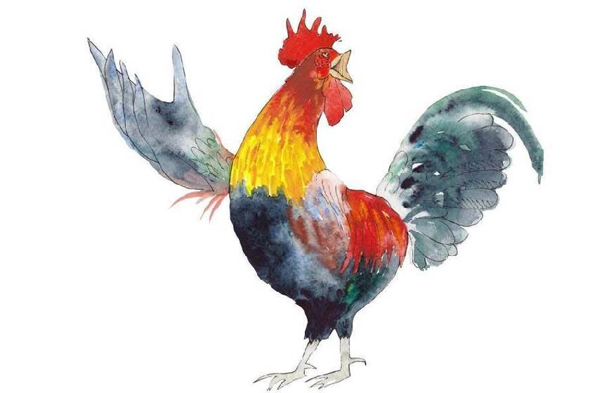 十雞九順！陽歷這個月出生的雞人，先苦后甜，註定享受輝煌人生！