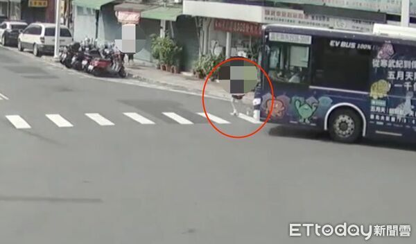 快訊／板橋公車輾斃婦！死者身分竟是「新北市議員的她」