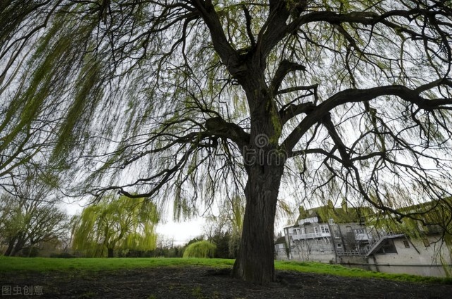 老話說「墳上有洞後代貧，墳旁三物出富人」，是真的嗎
