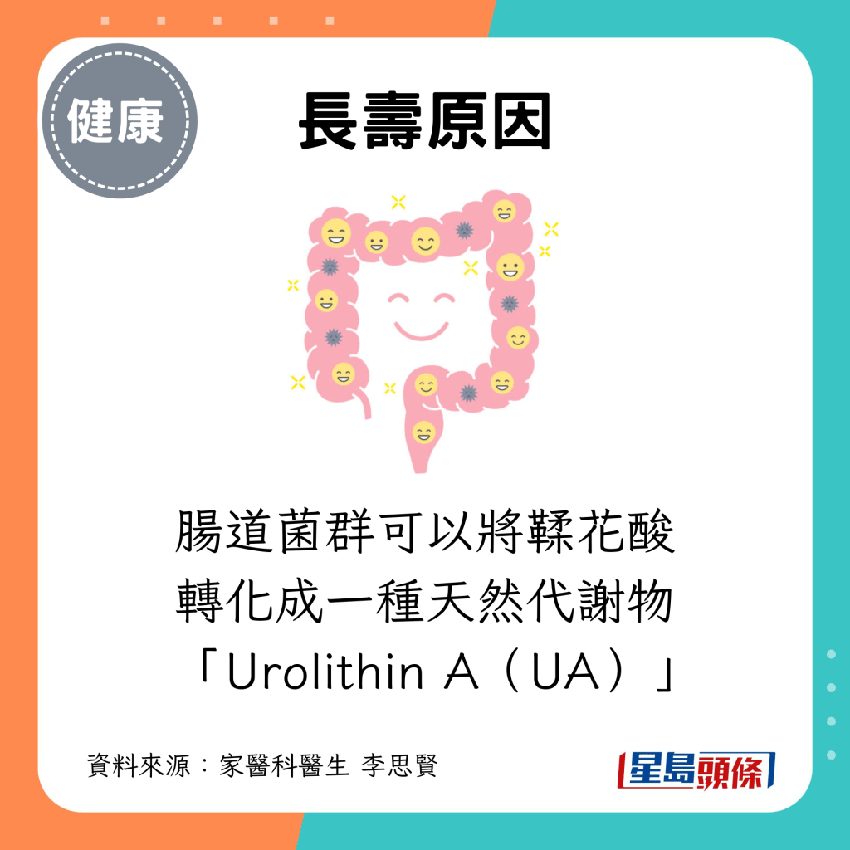 常吃1種水果健康長壽20年 醫生揭含超強抗老物 有助抗發炎/防腦退化