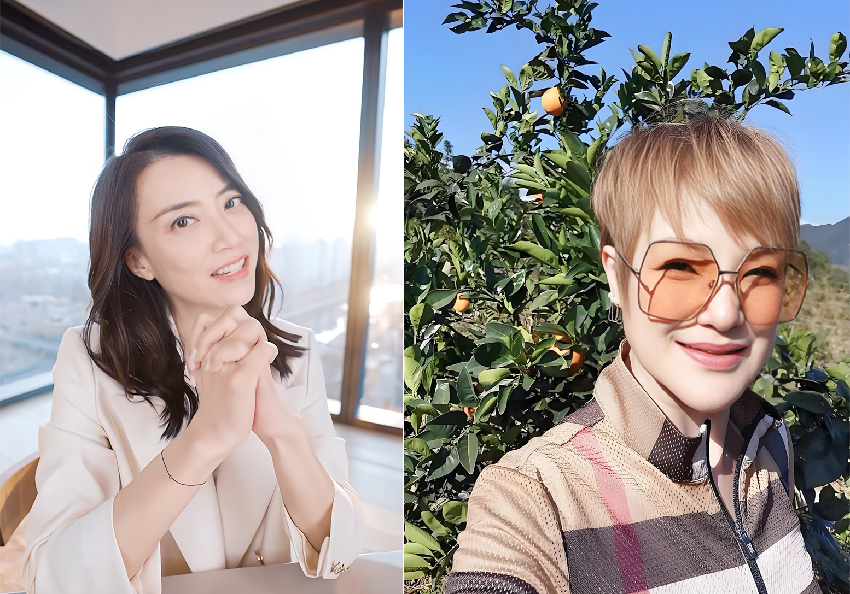 禮物刷不停！馬蹄露直播間痛哭，感謝網友支持！霍汶希好感度沒了