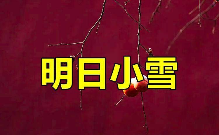 明日小雪是「兇日」，不管有空沒空，記得：1不吃、2不睡、3不爭、4要藏