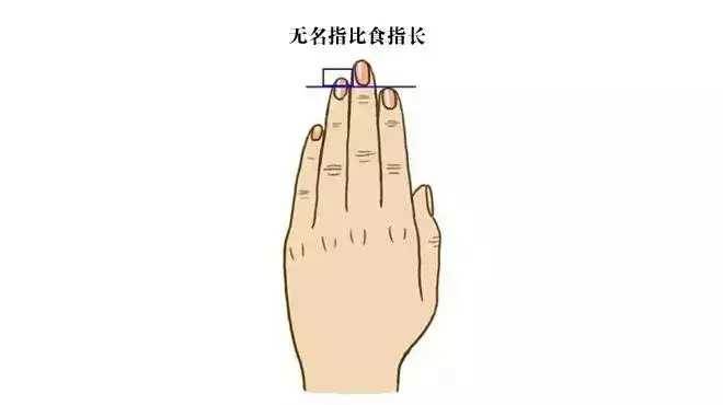 無名指長於食指！是觀世音親定的貴人印記，今生有「3段特殊緣分」個個藏天機助你絕處逢生！