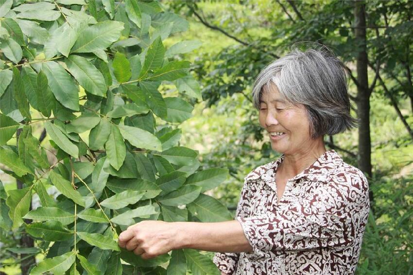 不要貪吃！糖友萬萬不能碰「6種家常菜 」　越吃血糖飆得越快：一定要忌口