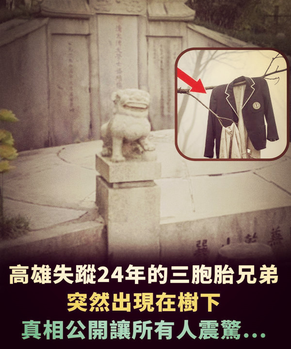 高雄失蹤24年的三胞胎兄弟，突然出現在樹下，真相公開讓所有人震驚...