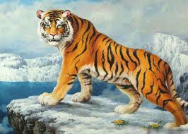 農歷新年，八大生肖最有錢，恭喜你是其中之一