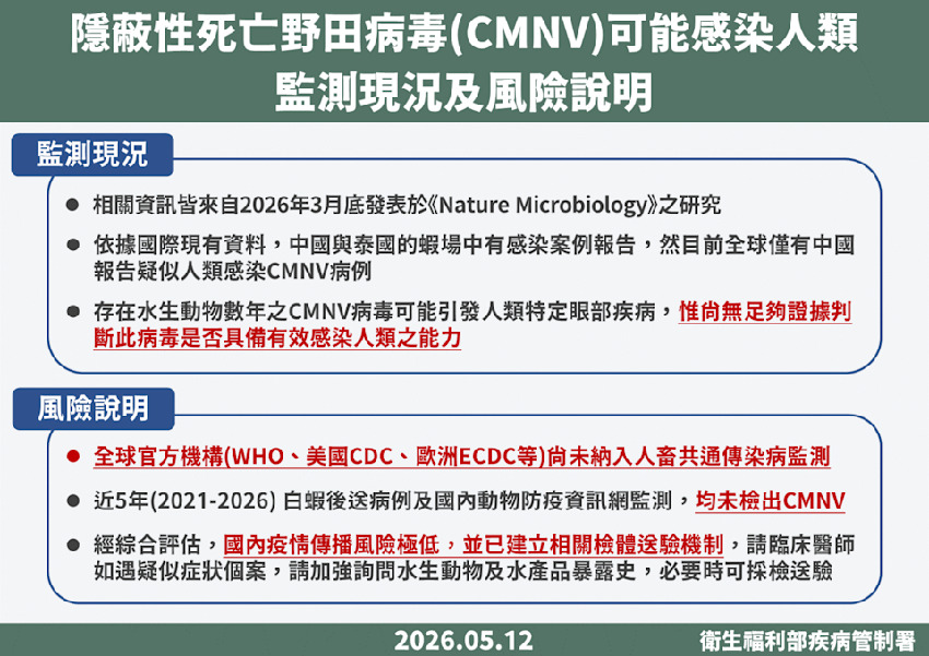 蝦子帶病毒？神祕「CMNV病毒」恐讓眼睛中鏢 疾管署緊急開會了