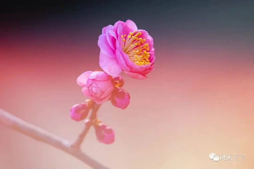 女人是不是「富貴命」，看她的臉就知道，很明顯