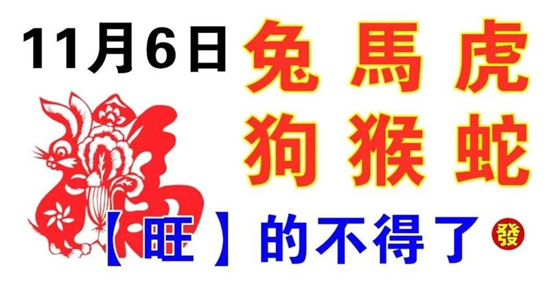 11月6日生肖運勢_兔、馬、虎大吉