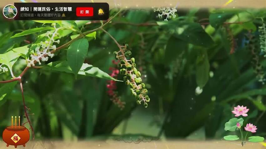 祖先發怒了！將祖先牌位放在寺廟菜堂中的子孫，請注意！再不知道就晚了！！嚇傻無數人！
