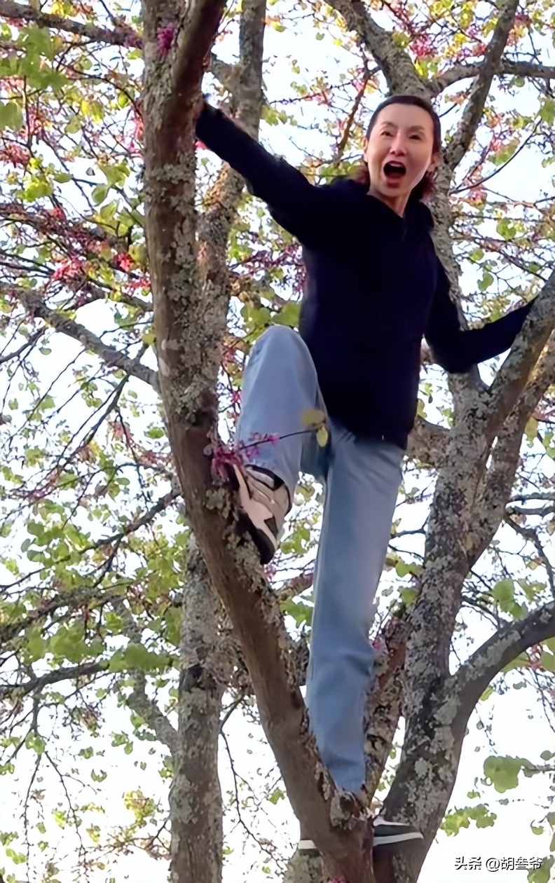 張曼玉現身北京參加活動！臉僵腫到不敢認，網友：怪不得不上浪姐