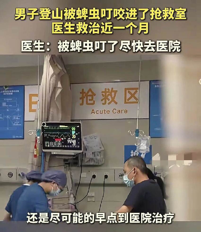 孩子脖子驚見蜱蟲！爸急用「火攻硬拔」全被媽擋下…改用網友1神招，10分鐘乾淨取出