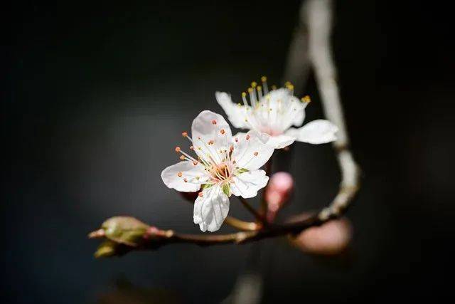 當你老了，躺在床上，需要人照顧的時候，你就發現：親戚再親，也就是安慰你；朋友再好，也只能來看看；兒女再孝，也沒時間天天陪你