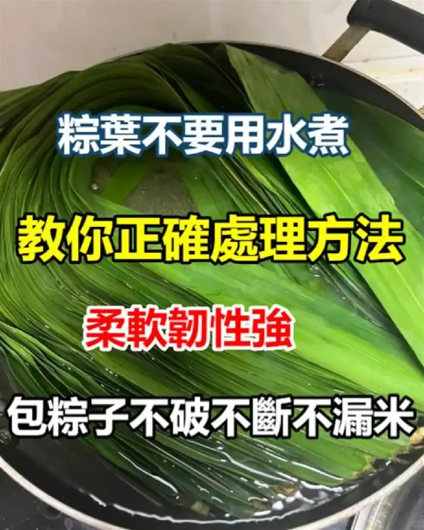 粽葉不要用水煮，教你正確處理方法，柔軟韌性強，包粽子不破不斷不漏米