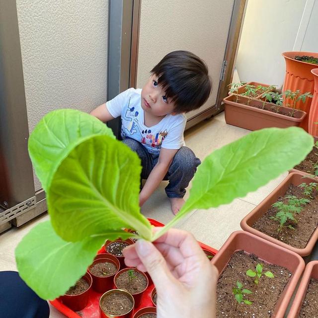 黎諾懿為3歲兒子慶生，曝光何文田複式豪宅！巨廳配有超巨型電視