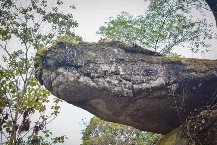 泰國「娜卡洞穴」太神秘！蛇頭栩栩如生、蛇身鱗片分明，隔著屏幕都讓人腿軟了