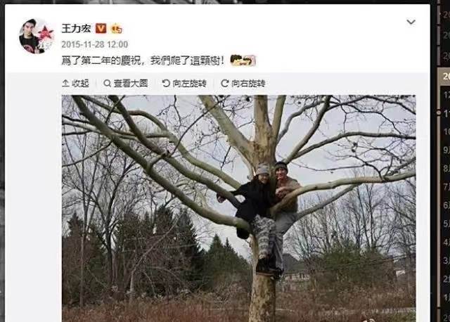 離婚2年，11歲還未上學的孩子，揭開了王力宏和李靚蕾僅剩的體面