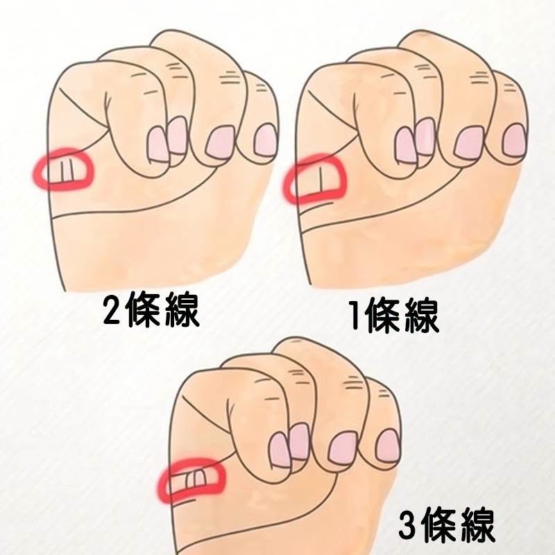 伸出右手握拳時有幾條線，預示晚年福命還是苦命！太準了