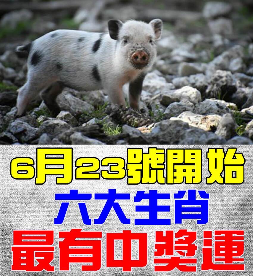 6月23號開始最有中獎運的生肖