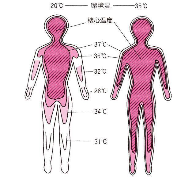 為什麼說情侶不能一塊洗澡？主要有3個原因，經歷過的人都懂