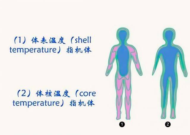 為什麼說情侶不能一塊洗澡？主要有3個原因，經歷過的人都懂