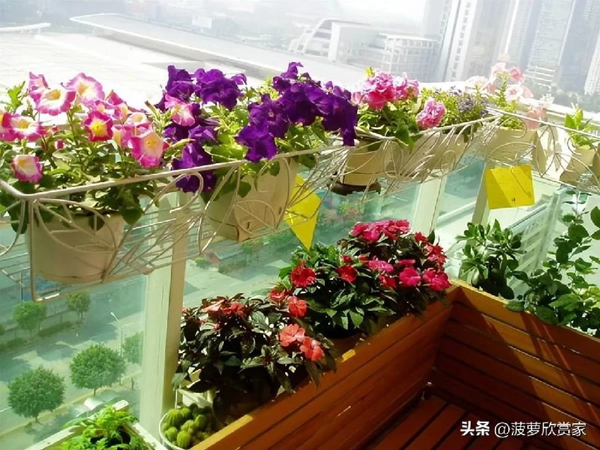 養花人必看！5種「招鬼花」不要養　越養越倒霉「還會敗家運」家裡有的快扔掉