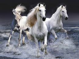 「三大生肖不戴金」財運反而翻百倍！不是迷信，真的有人「和黃金相剋」財運陽壽都會被金器吸光