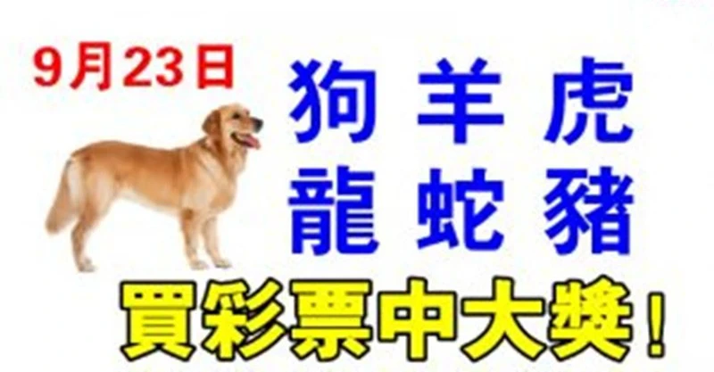 9月23日生肖運勢_狗、羊、虎大吉