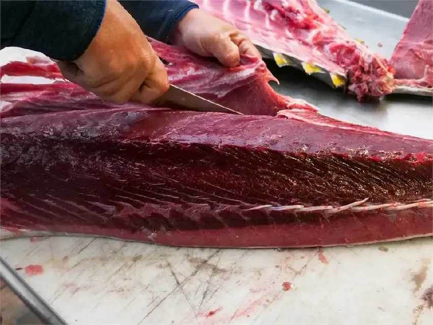 台灣人超愛吃！「2種魚」超傷腦 醫：加速失智、增罹癌風險