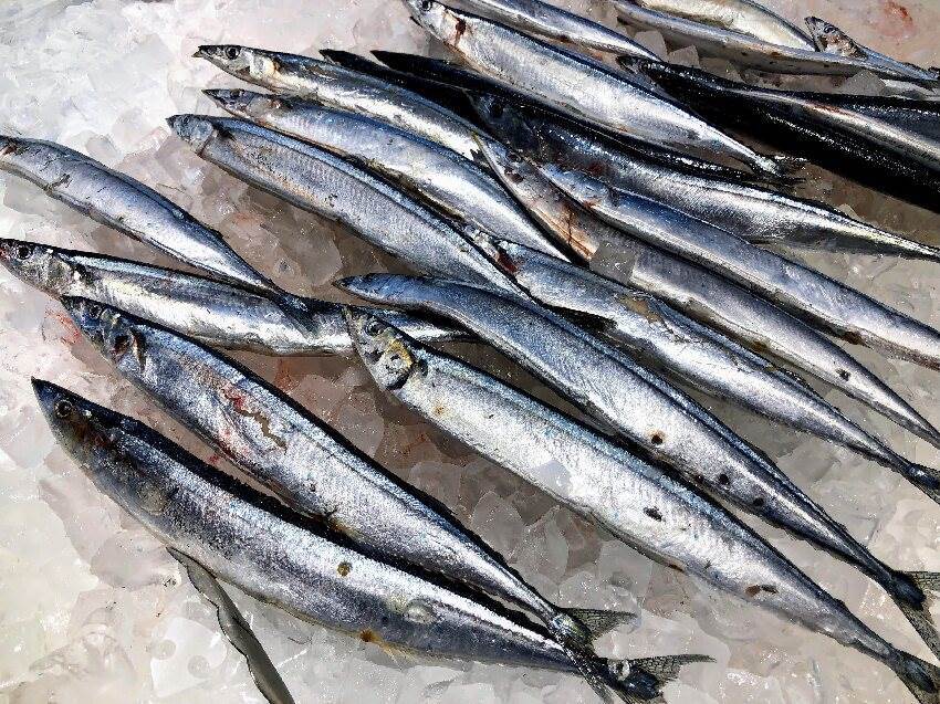 台灣人超愛吃！「2種魚」超傷腦 醫：加速失智、增罹癌風險