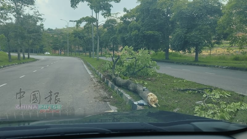 少女車禍亡 母危急 生前夢想赴新深造