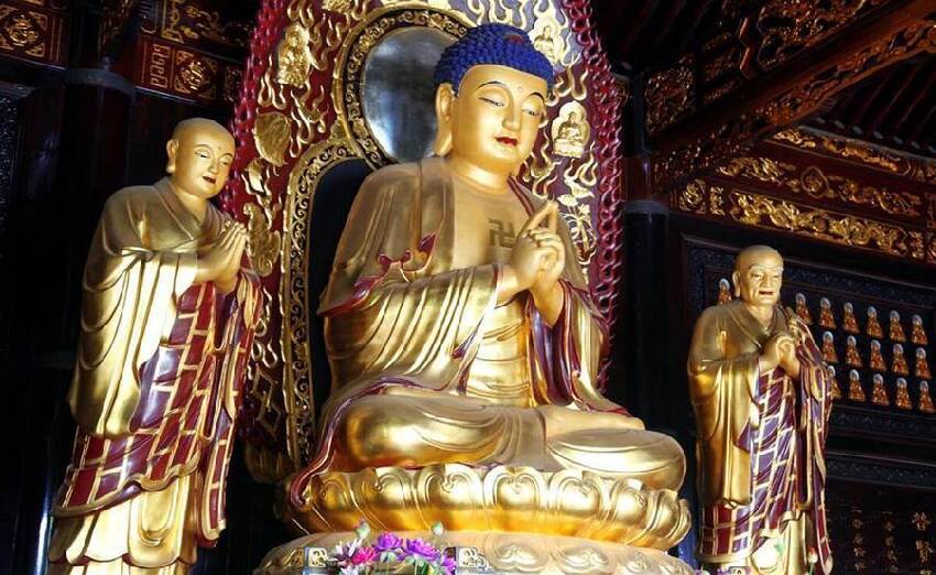 「這一生肖」金命附體， 七世輪回換來今生的福報，你將「好運伴一生」吉人天相