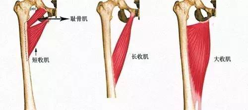 每天原地「青蛙式」50次，20天全身瘦下來，比跑步效果好，腰肩不僵硬，舒服多了