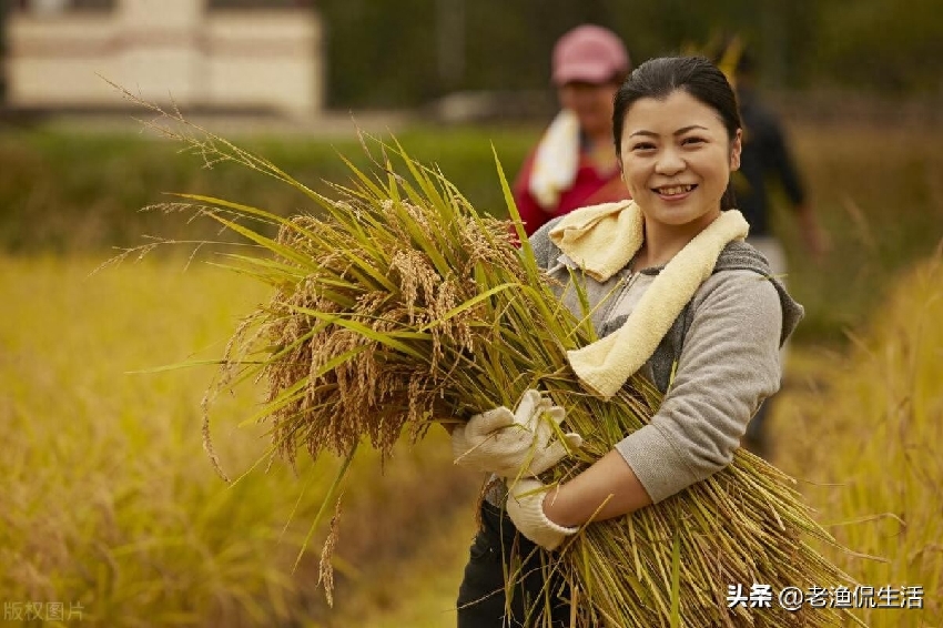 哥哥去世後我獨自養活兩侄子，如今侄子出息了，嫂子卻找上門了