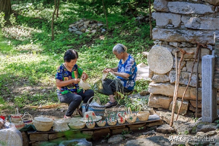 哥哥去世後我獨自養活兩侄子，如今侄子出息了，嫂子卻找上門了