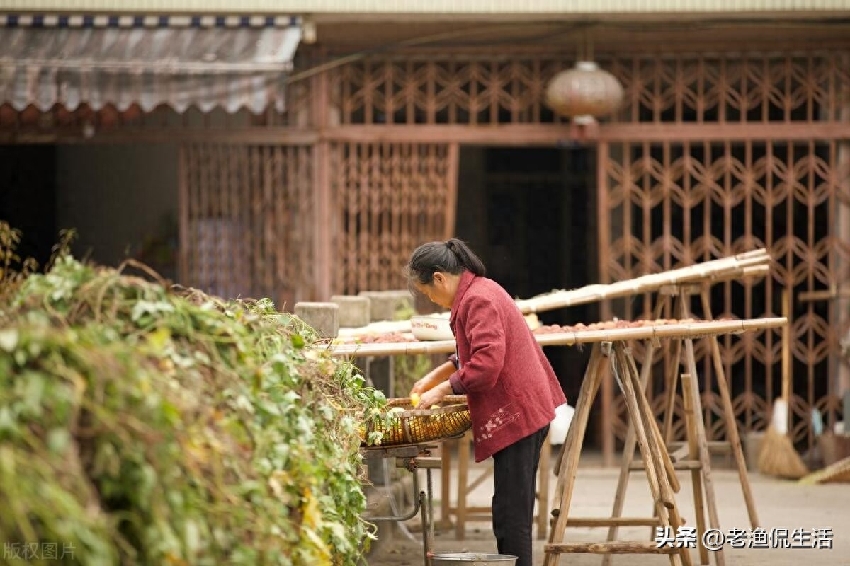 哥哥去世後我獨自養活兩侄子，如今侄子出息了，嫂子卻找上門了