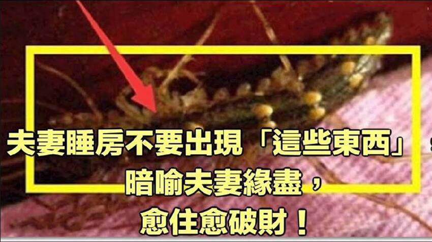 夫妻臥房千萬不要出現「這些東西」，暗喻夫妻緣盡，愈住愈破財